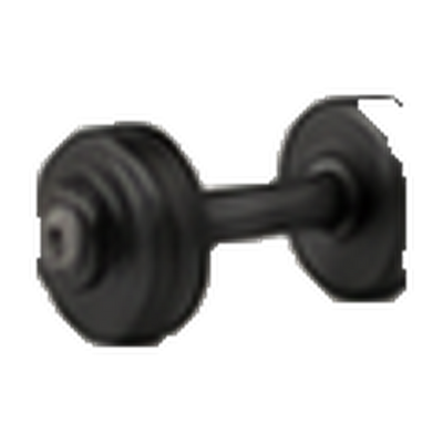 Health & Fitness
